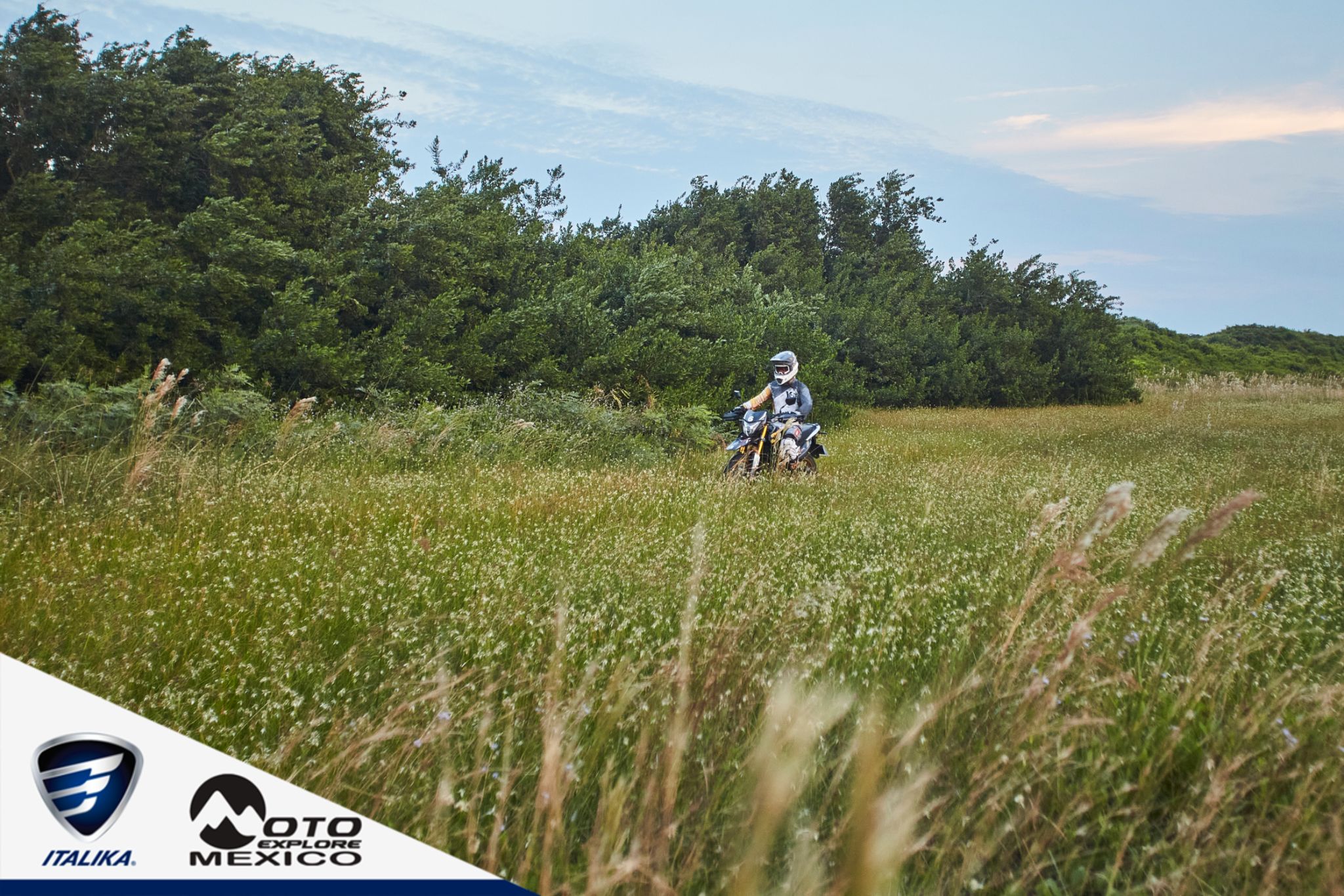 ITALIKA CHACHALACAS D1 405